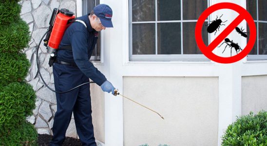 Arpaçay Akrep İlaçlama böcek ilaçlama ve haşere kontrolü — ilaclama-tr.com